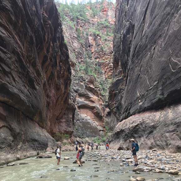 Meet your posher, Nakia - Picture 5 of 11